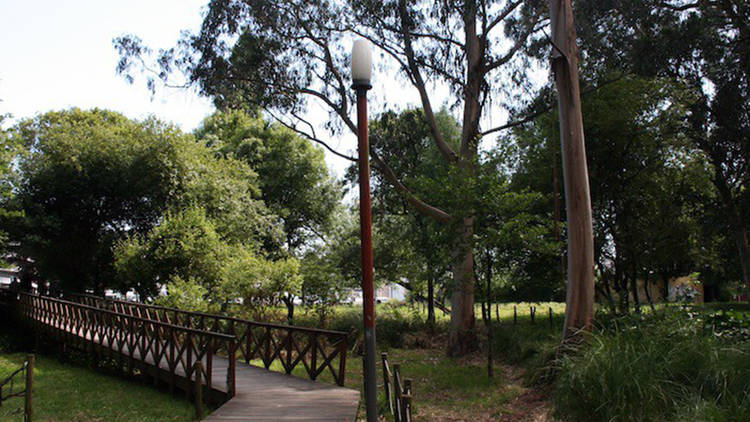 Dê um passeio pelo Parque do Carriçal...