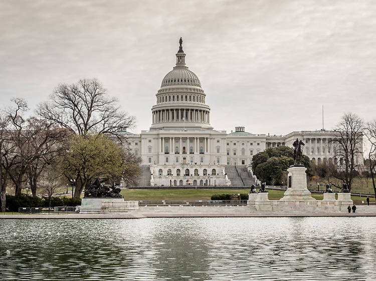 Washington, D.C. day trip from New York