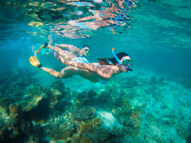 Couple snorkelling at Turquoise Bay Turquoise Bay