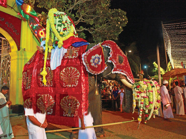 Kataragama Perahera