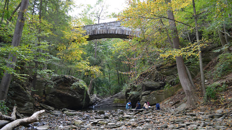 Wissahickon Park