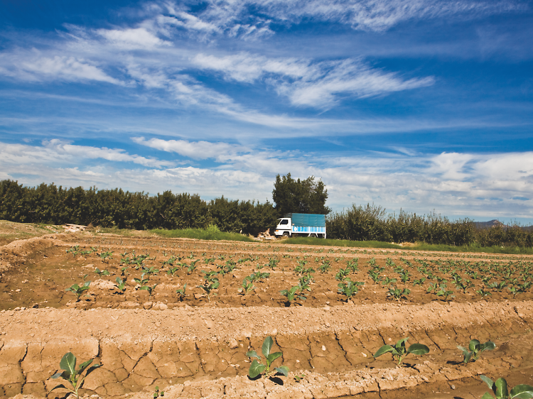 El Parc Agrari del Baix Llobregat