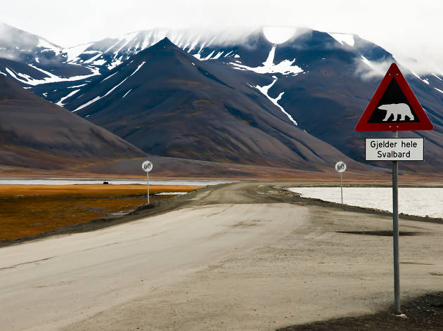svalbard svalbard