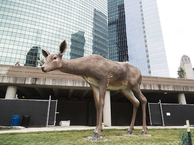 Tony Tasset deer Tony Tasset deer
