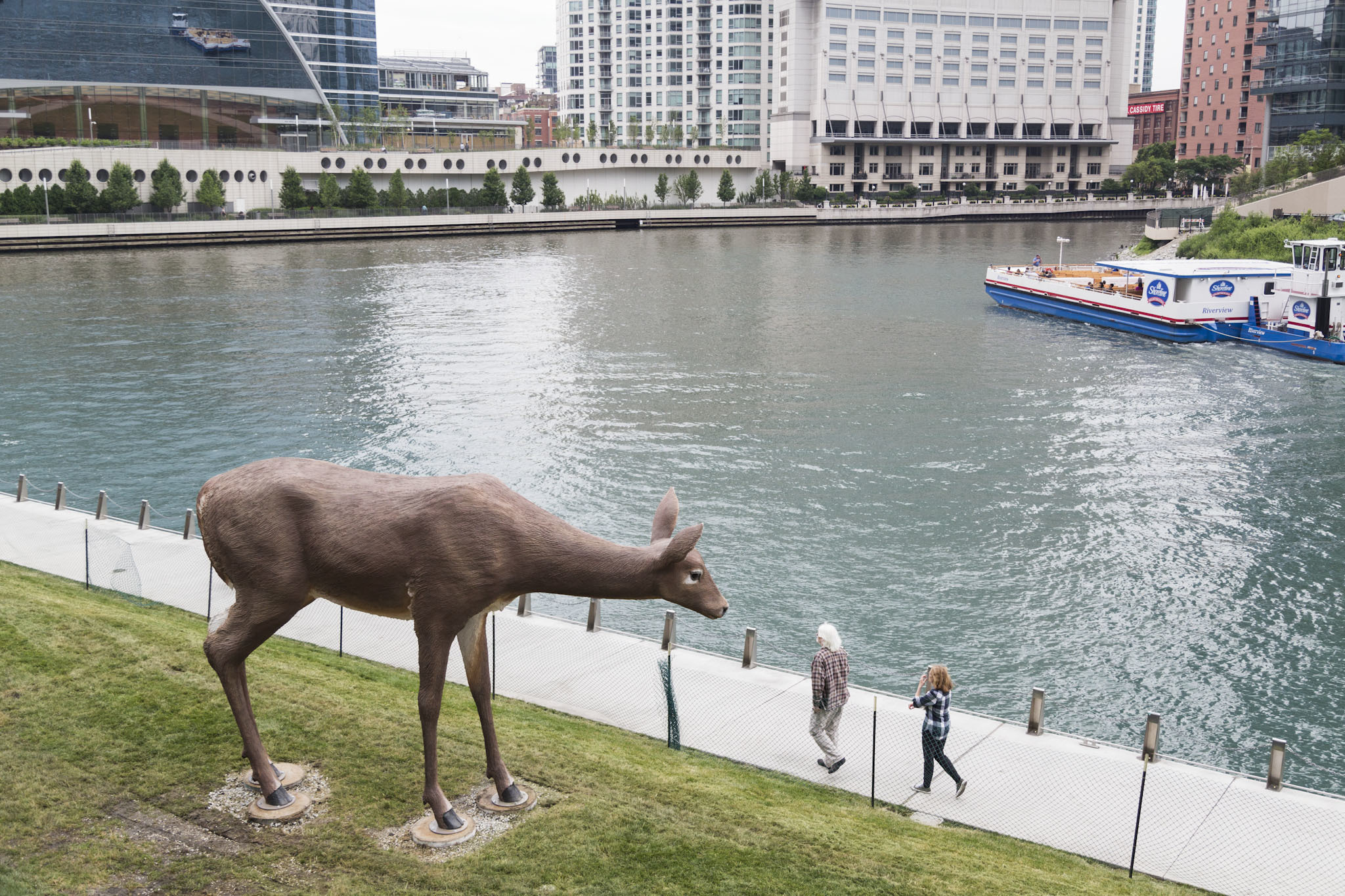 Tony Tasset Deer