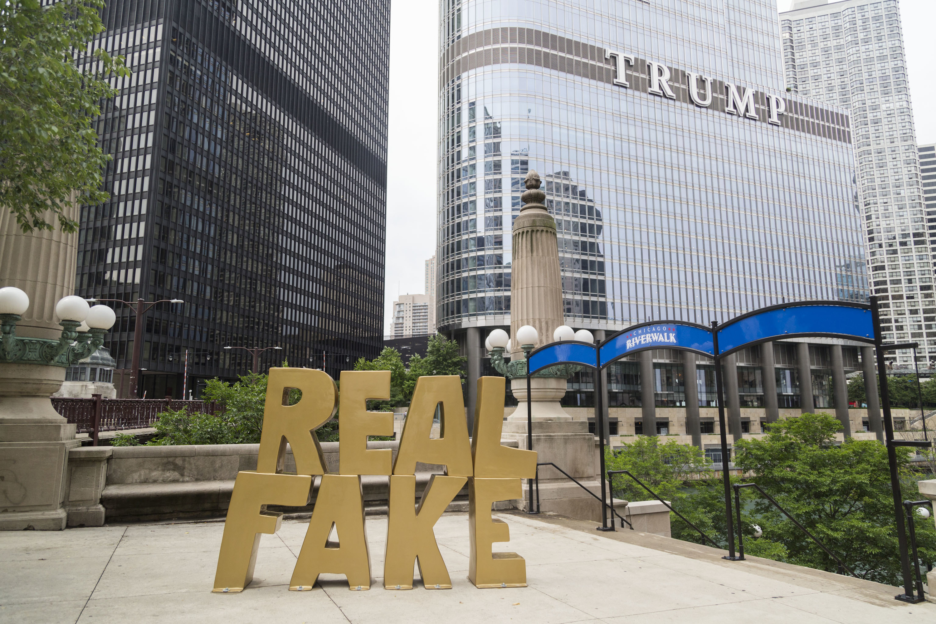 Real Fake, Scott Reeder