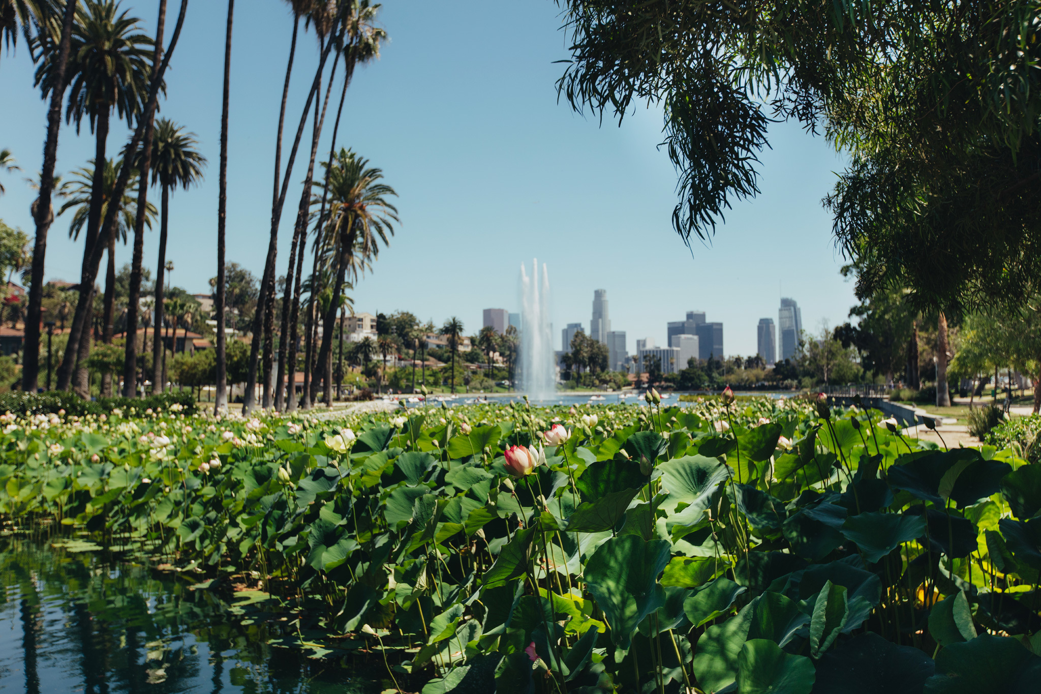 los angeles parks to visit