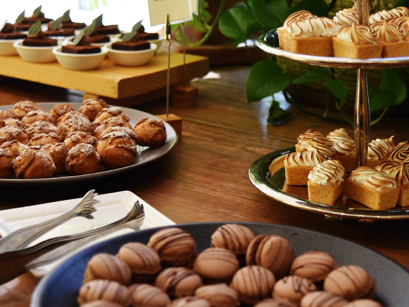 Best breakfast in Philadelphia for eggs, pancakes and coffee