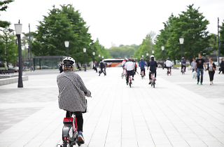 monthly bike rental near me