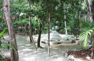 tulum holistika alejandra villegas foto