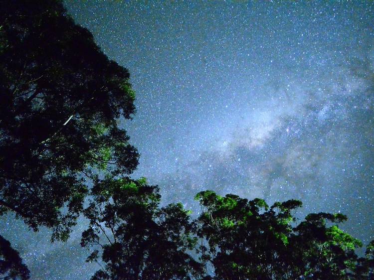 Sky at night with stars