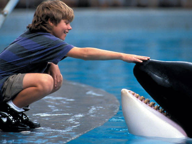 Free Willy Free Willy