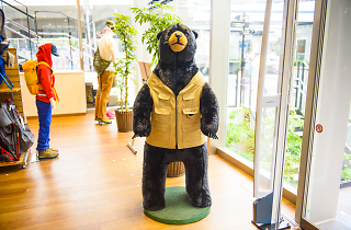 hiking store near me