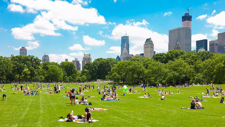 Check out these awesome free things to do in NYC