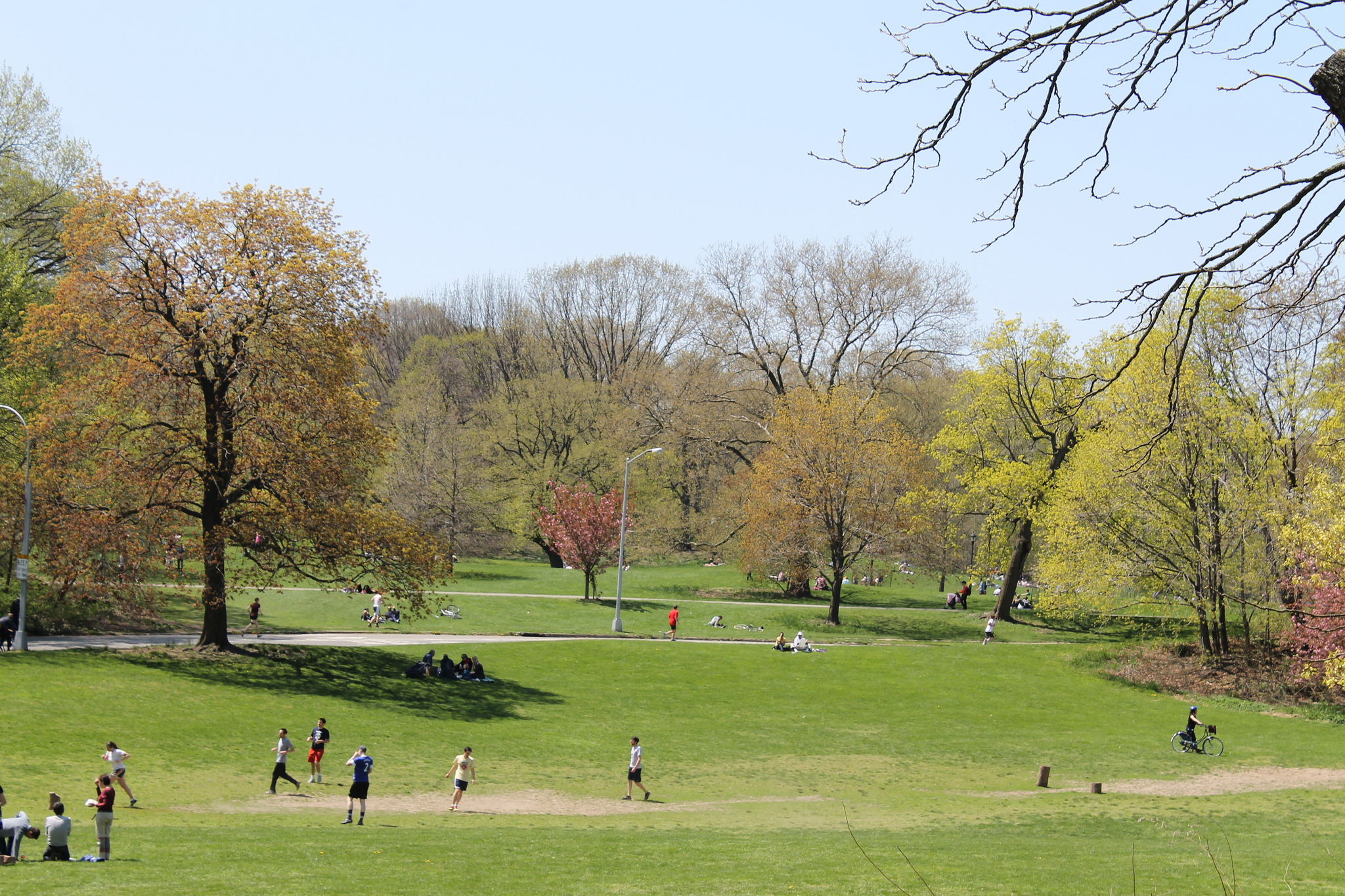 Prospect Park, Brooklyn: Your guide to the Brooklyn park