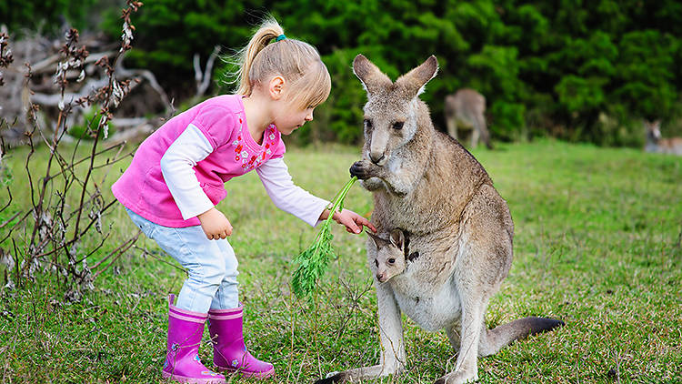 GanGaroo Australian Park