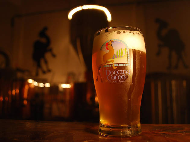 The Dancing Camel Brewing The Dancing Camel Brewing