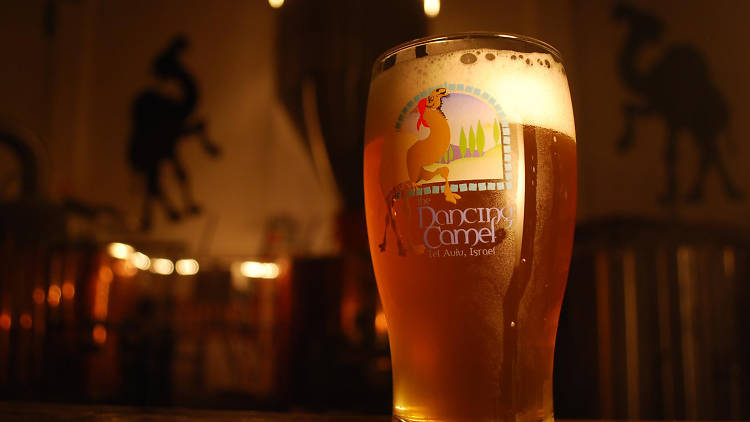 The Dancing Camel Brewing 