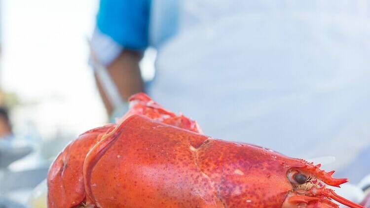 Redondo Beach Lobster Festival