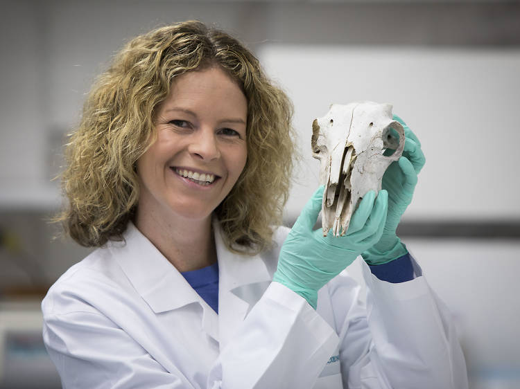 Meet the scientist behind Australia’s first human body farm