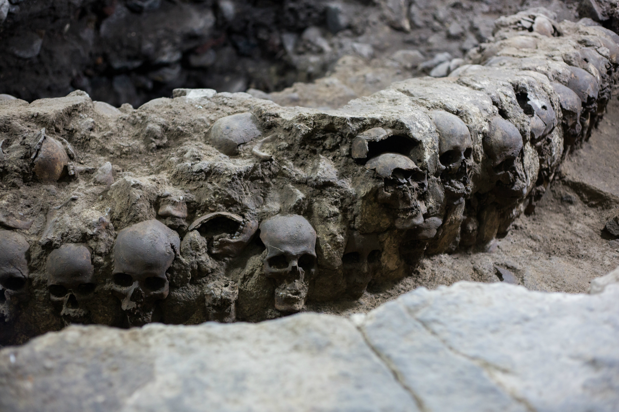 El Gran Tzompantli: uno de los hallazgos arqueológicos más importantes de  la CDMX