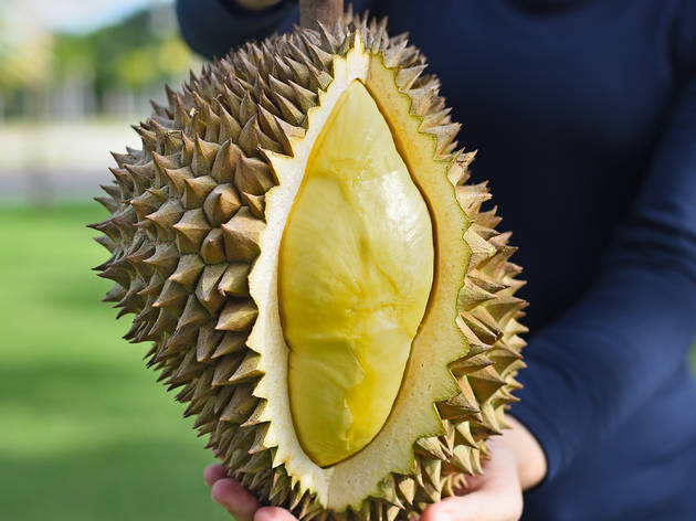 Guide to durian