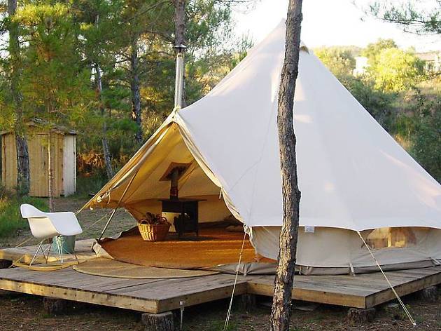 Forest Day Glamping Forest Day Glamping
