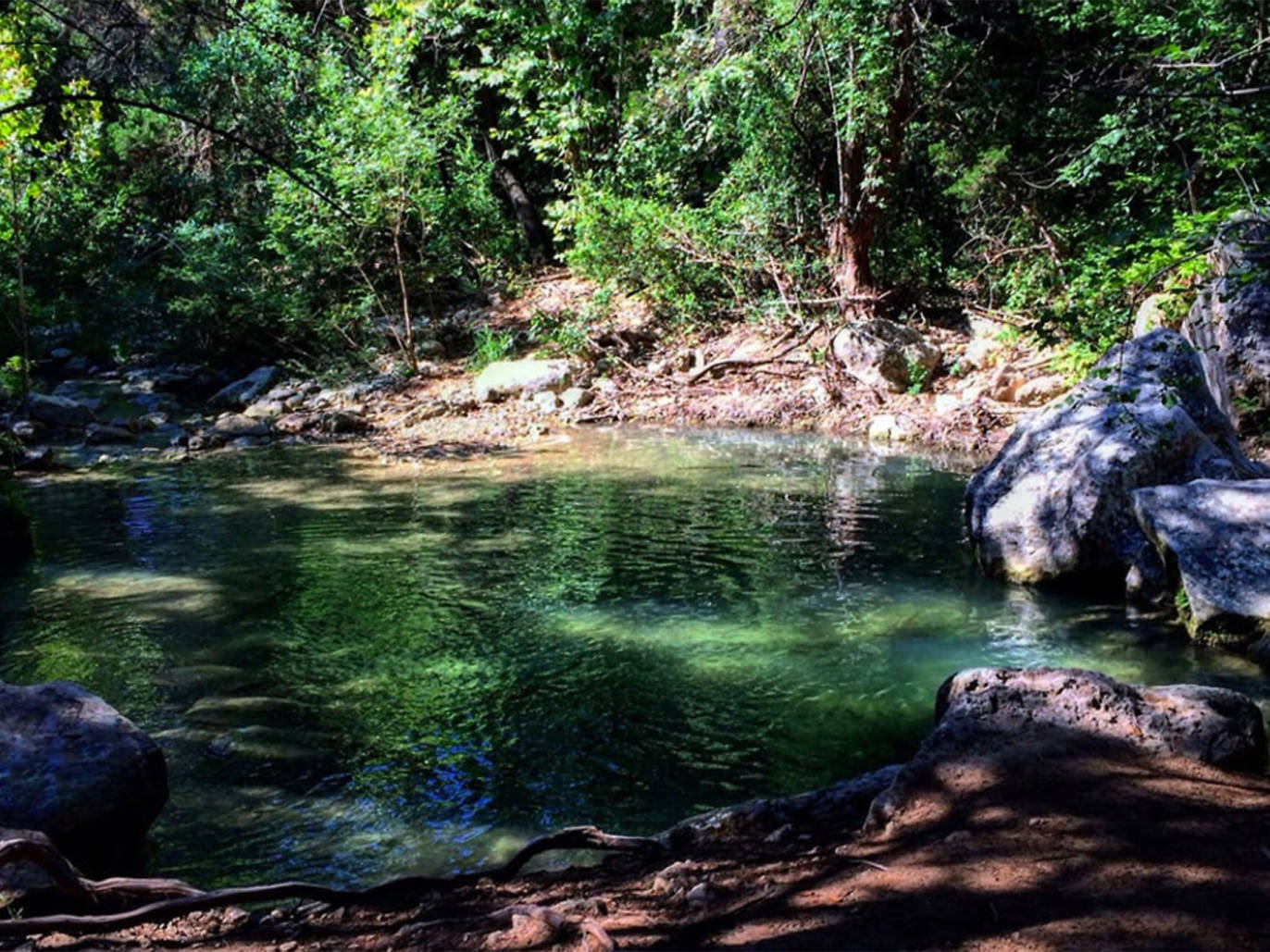 10 Best Austin Parks and Gardens for Beautiful Walks