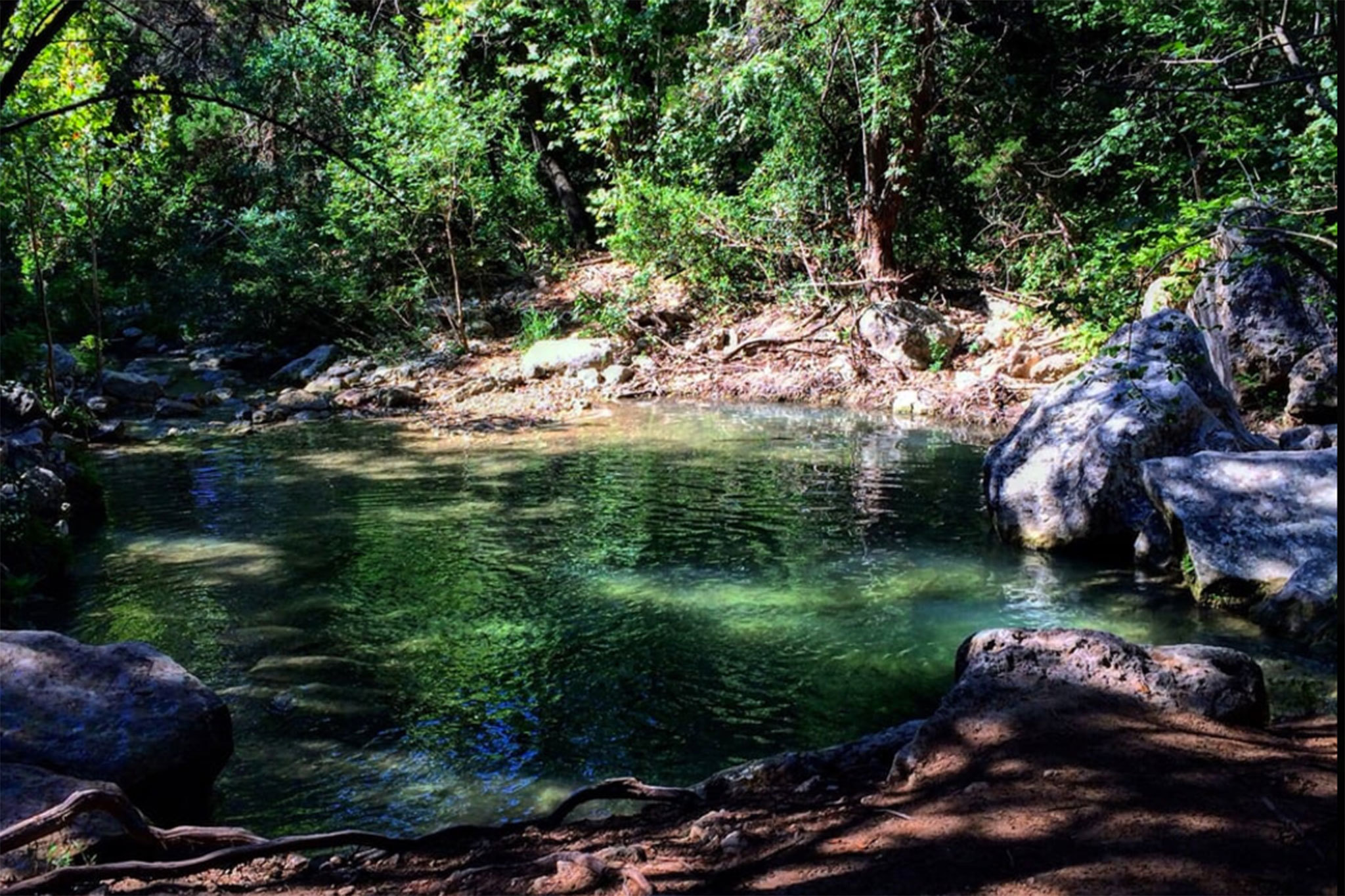 Emma Long Metropolitan Park | Attractions in West Austin, Austin