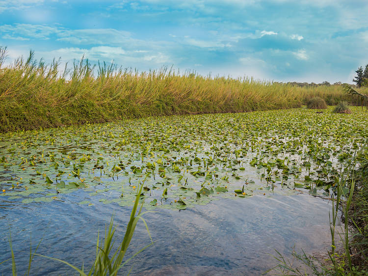 Yarkon National Park