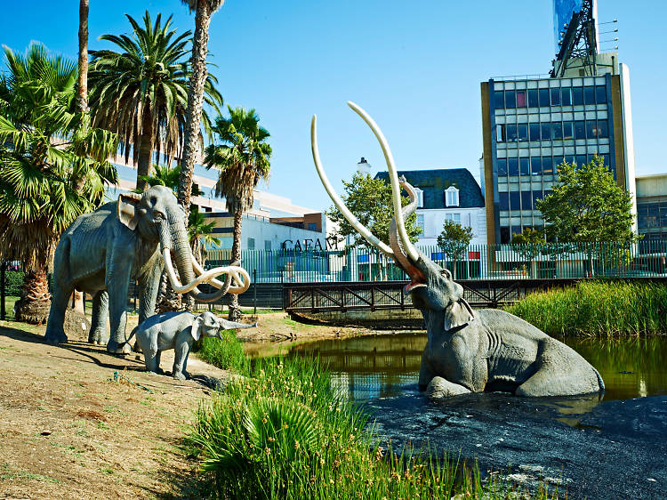 La Brea Tar Pits