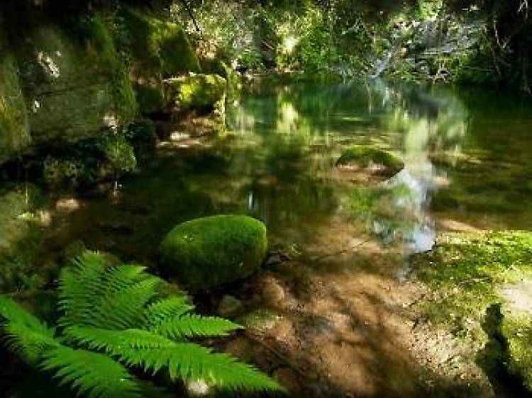 Un bany a les gorgues de Sant Aniol