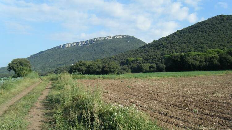 Anar al volcà de la Banya del Boc