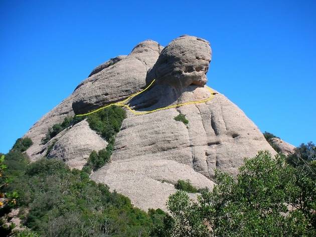 El cap de mort El cap de mort