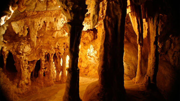 Go caving in the Blue Mountains