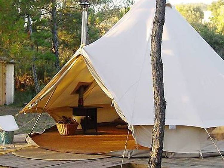 Forest Day Glamping