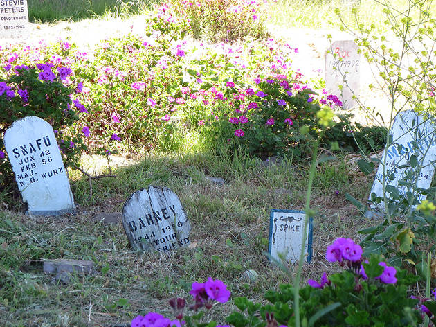 pet cemetery presidio Presidio Pet Cemetery