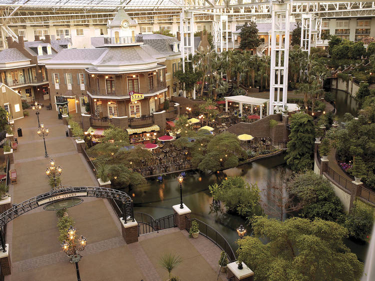 Stay at Gaylord Opryland Resort & Convention Center 