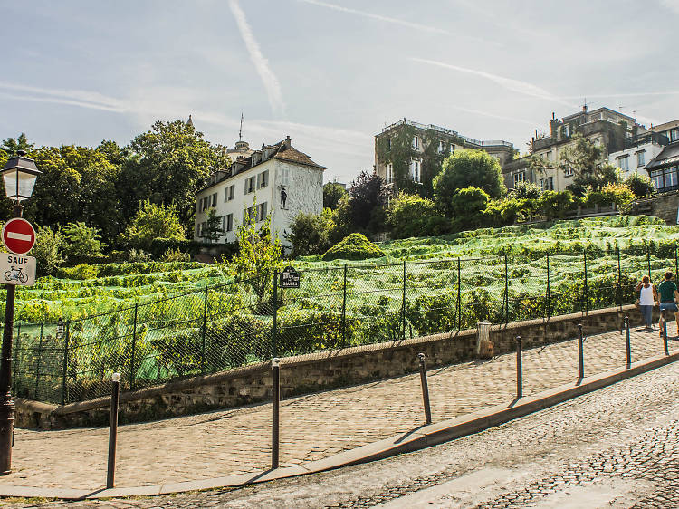 Le Jardin Sauvage Saint-Vincent