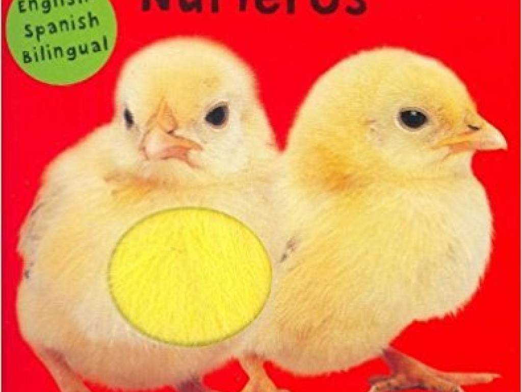 Best bilingual baby books for kids and families