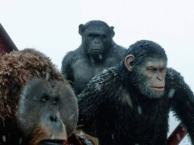 War for the Planet of the Apes