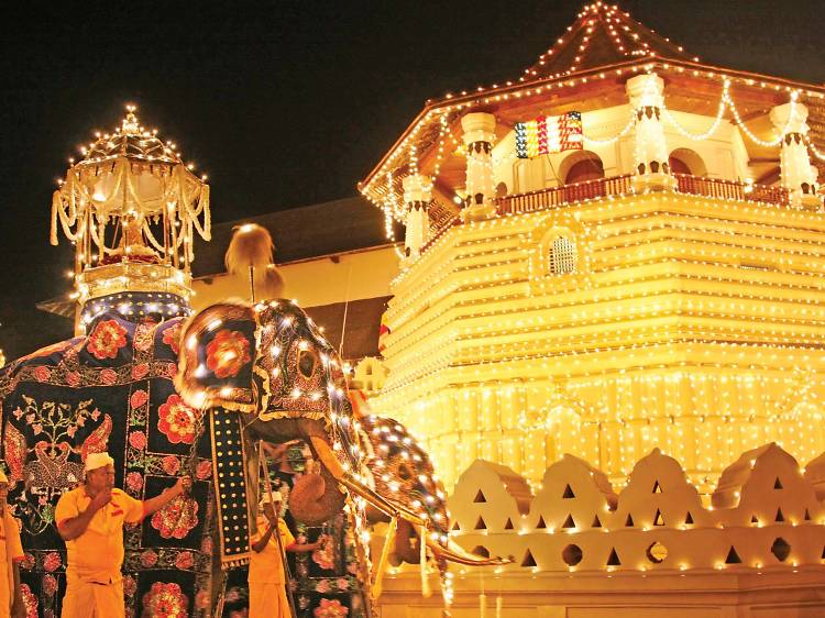 Kandy Esala Perahera