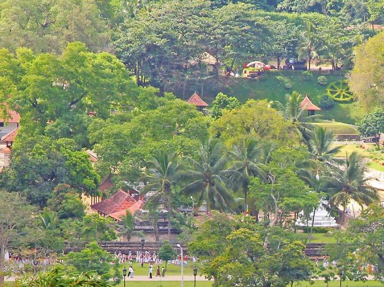 The picturesque Kandy lake