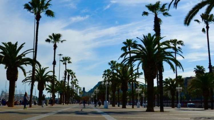 Secret City Trails, Barceloneta