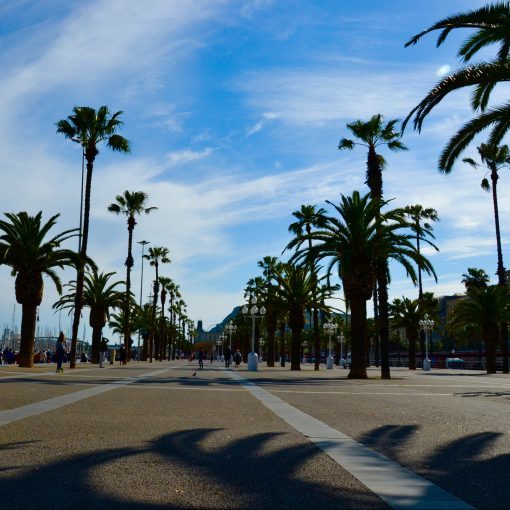 Secret City Trails: Green & Healthy Hidden Gems of Barceloneta | Things ...