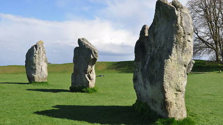 Private Stonehenge, Woodhenge and Avebury Stone Circle day trip from London