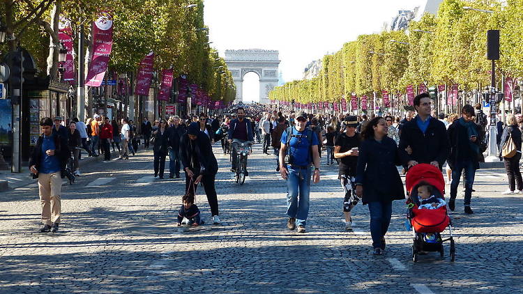 View Looking Down the Tree Lined Champs Elysees with Shoppers and