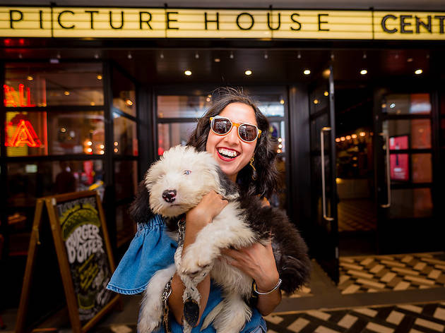 Dog-friendly screening at Picturehouse Central, 2017 Dog-friendly screening at Picturehouse Central, 2017
