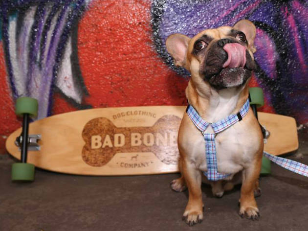 Bad Bone Company Bad Bone Company accesorios para mascotas