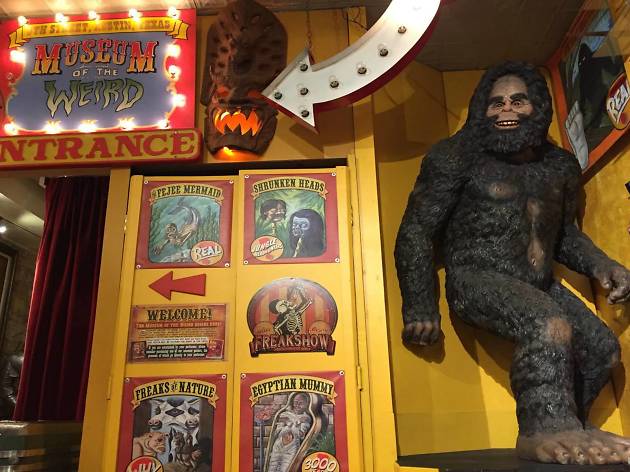 Museum of the Weird Museum of the Weird